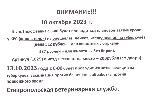 Взятие крови у КРС