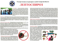 Памятки по болезням животных
