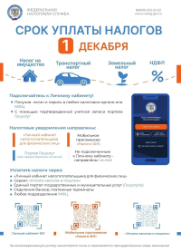 Срок уплаты налогов