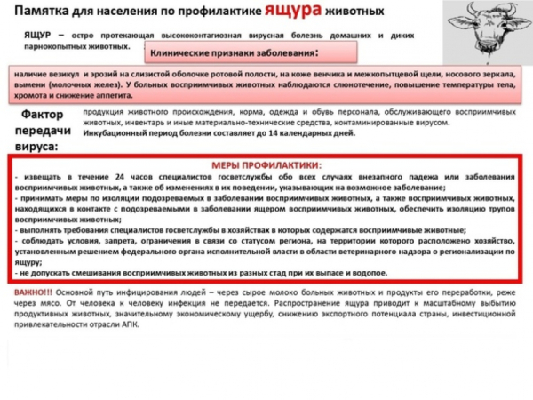 Памятки по болезням домашних животных