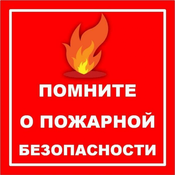 С 31.05.2024 по 14.06.2024 вводится ограничение пребывания граждан в лесах и въезда в них транспортных средств во всех 16 лесничествах.
