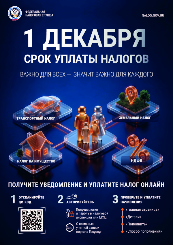 1 декабря срок уплаты налогов!