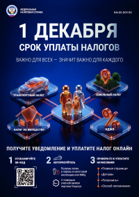 1 декабря срок уплаты налогов!